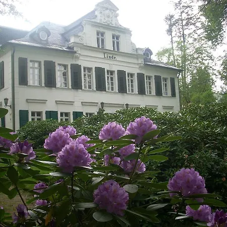 Kurheim Haus Linde Bad Elster