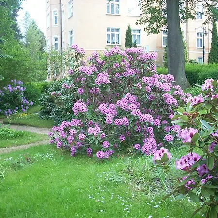 Gasthof Kurheim Haus Linde
