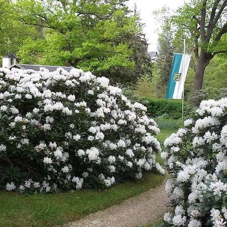 Gasthof Kurheim Haus Linde